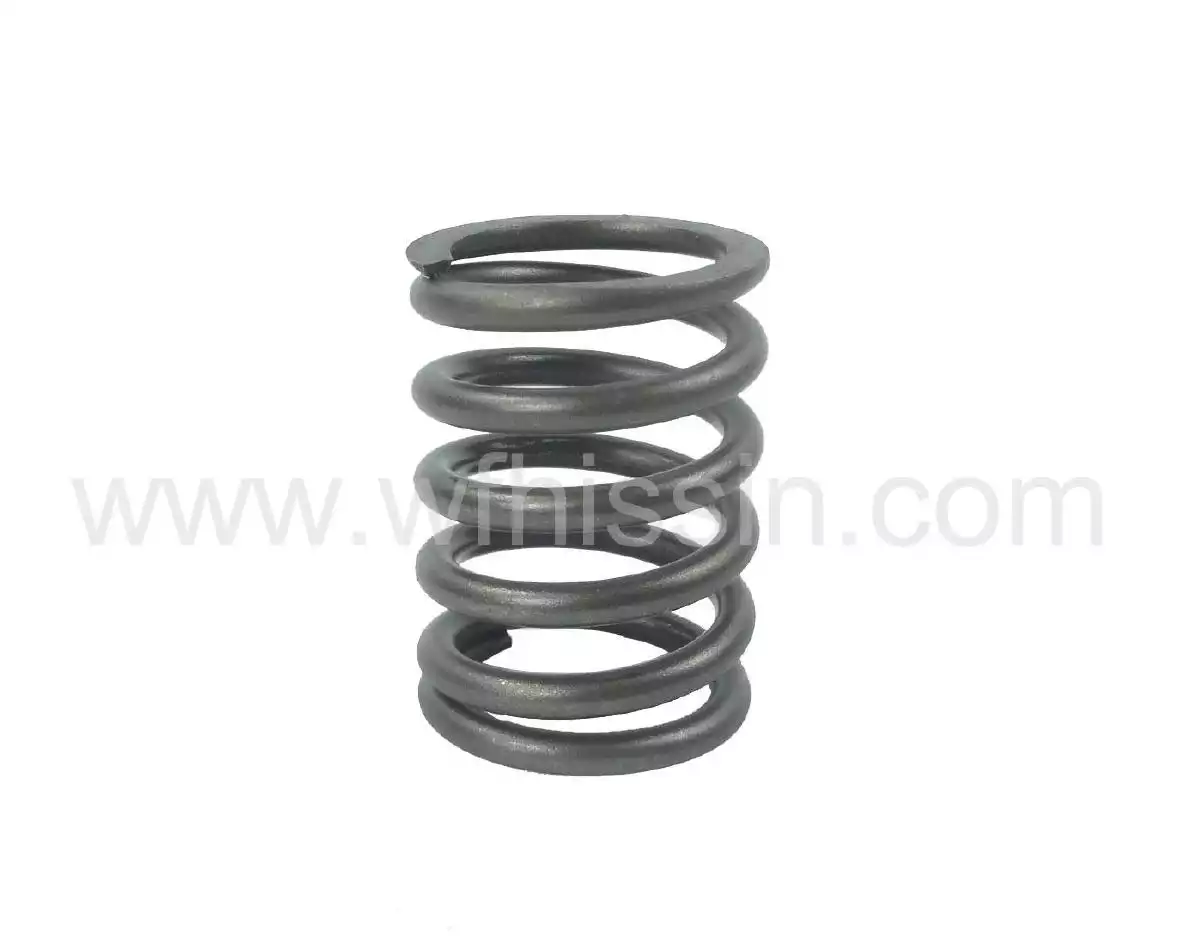 Outer valve spring YSD490